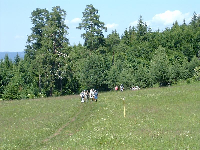 20120616 043.jpg